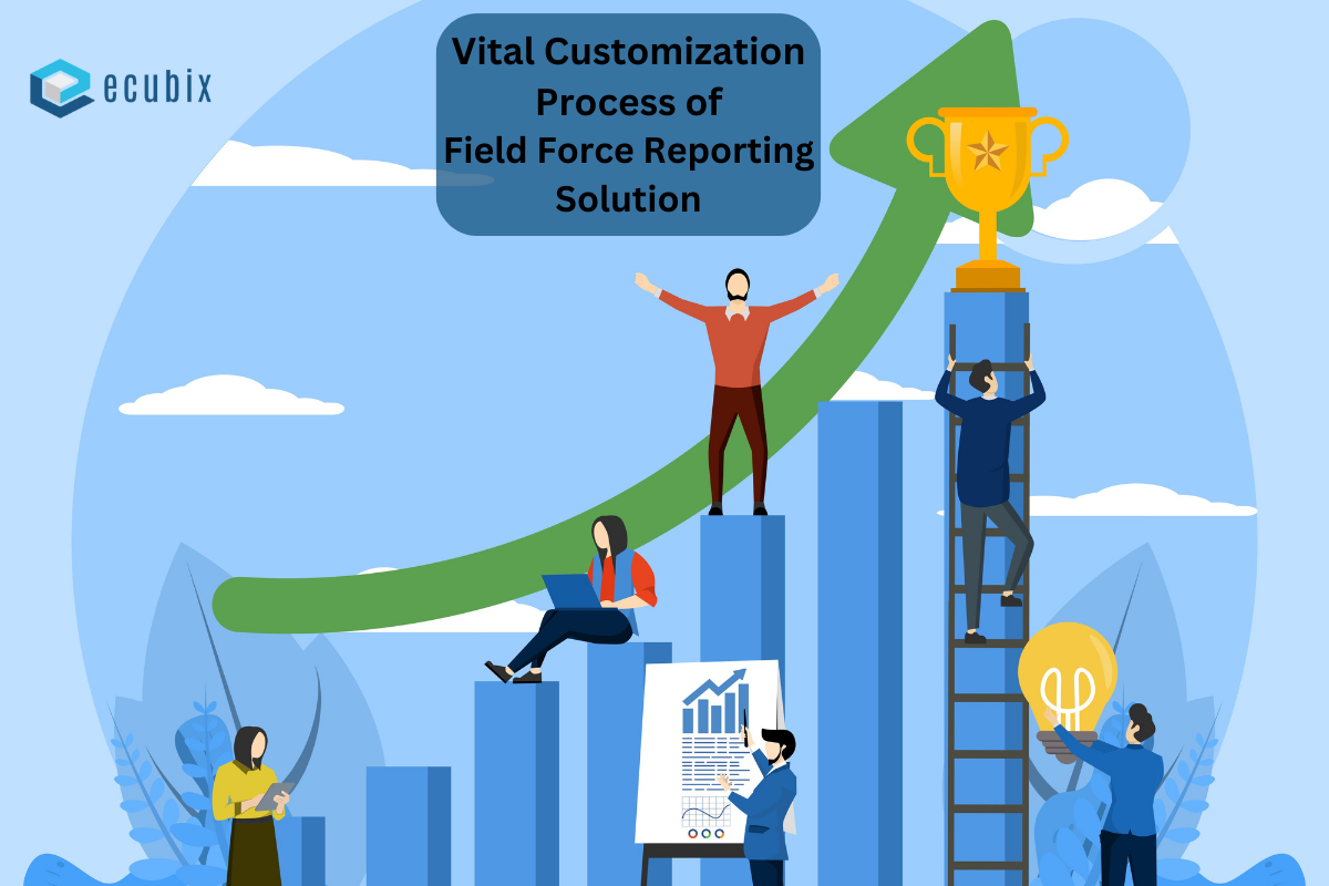 Vital Customization Process of Field Force Reporting Solution - eCubix